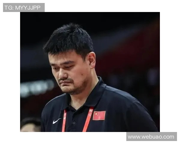 姚明个人实力的全面解析与影响力探讨